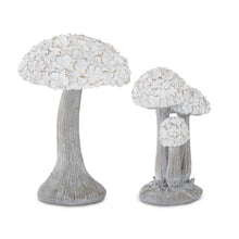  Whitewashed Floral Top Mushroom