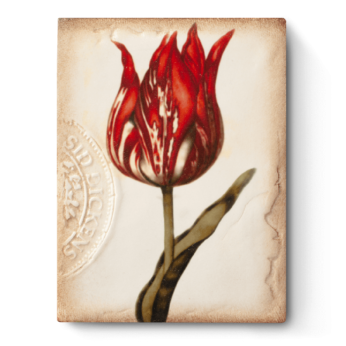 T98 Scarlet (Retired)