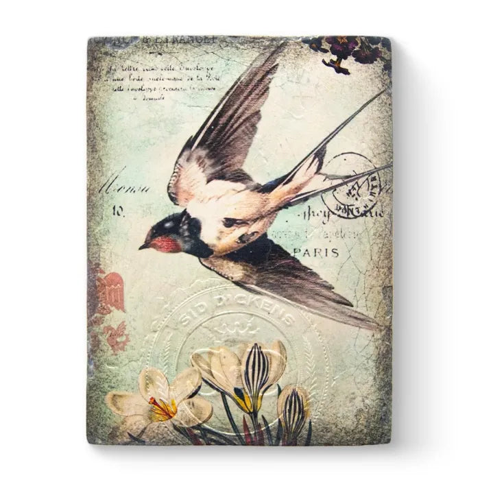 RLE2203 Glider (In-Store Exlusive)