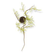  Twig Bird Nest Stem