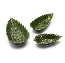  Twos Large Fern Dish