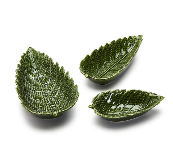 Twos Large Fern Dish