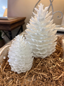  3D Pinecones