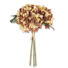  Yellow & Brown Hydrangea Bundle