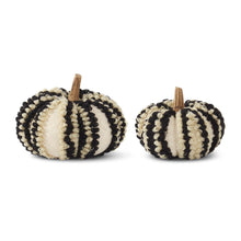  Cream & Black Knit Vertical Striped Pumpkin