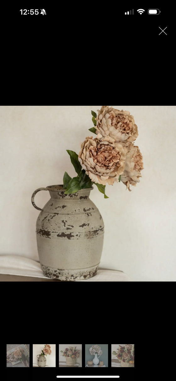 28” Tan Peony Stems