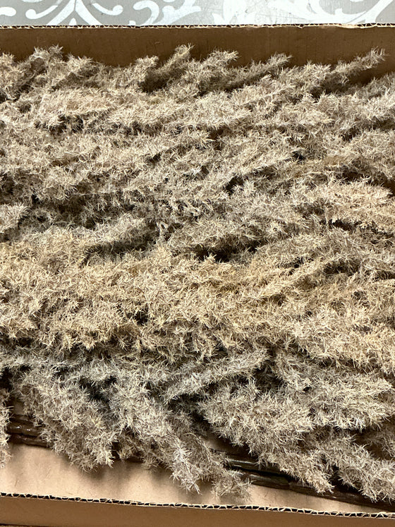 K&K 36.5” Cream Flocked Cypress Branch