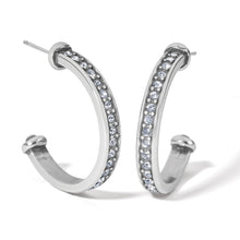  Meridian Zenith Medium Hoop Earrings