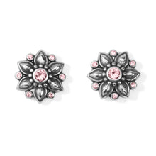  Cora Mini Post Earrings