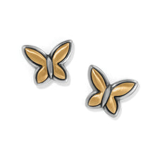  Goldie Wings Mini Post Earrings